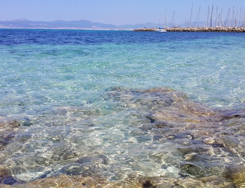 Escape to Paradise: Discover the Best Holiday Apartments to Rent in Son Caliu